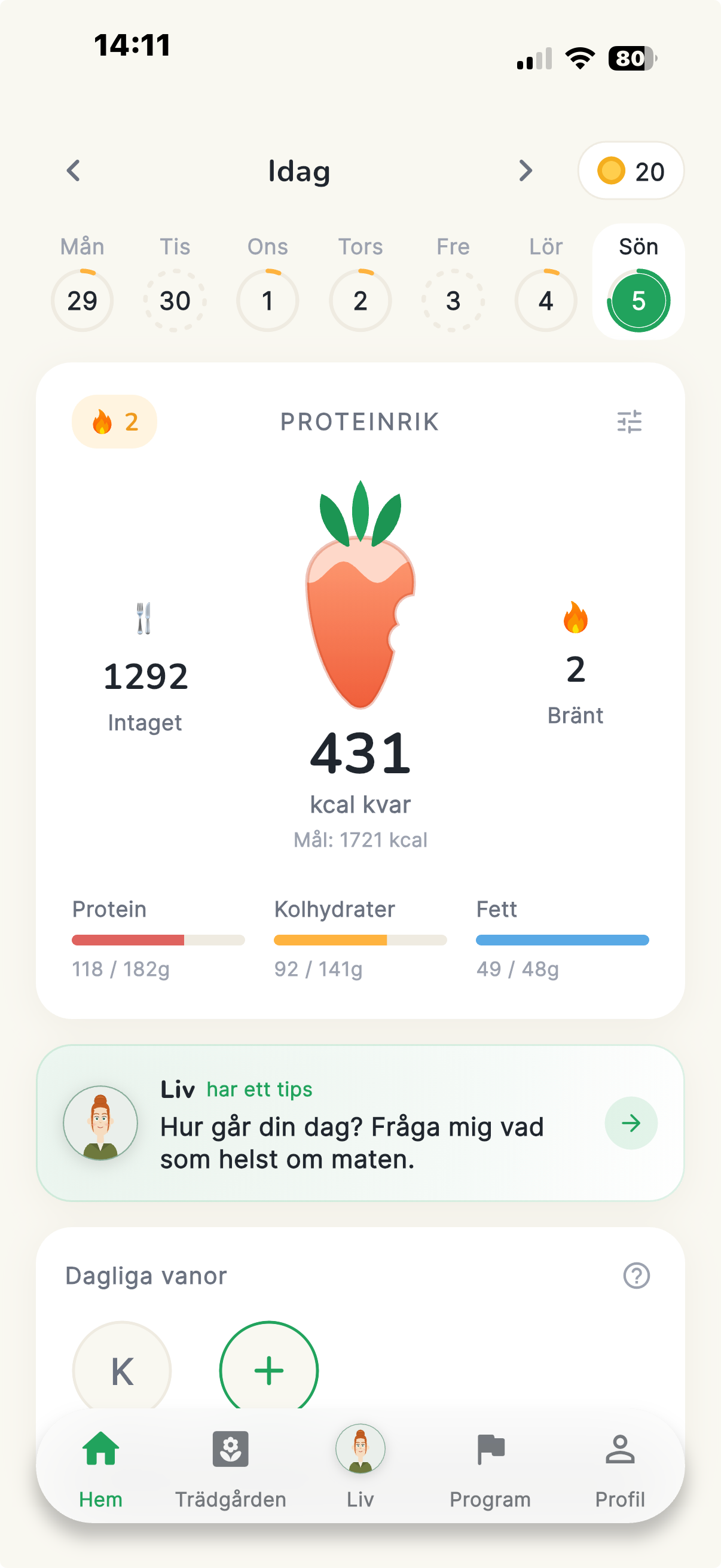 Morots hemskärm